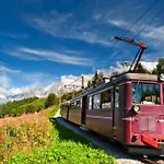 Androsace 53 - Happy Chamonix