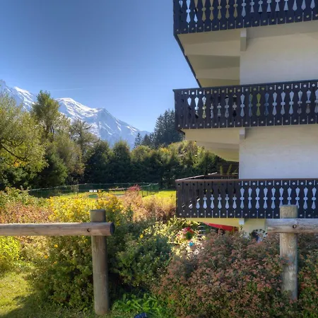 Androsace * Chamonix